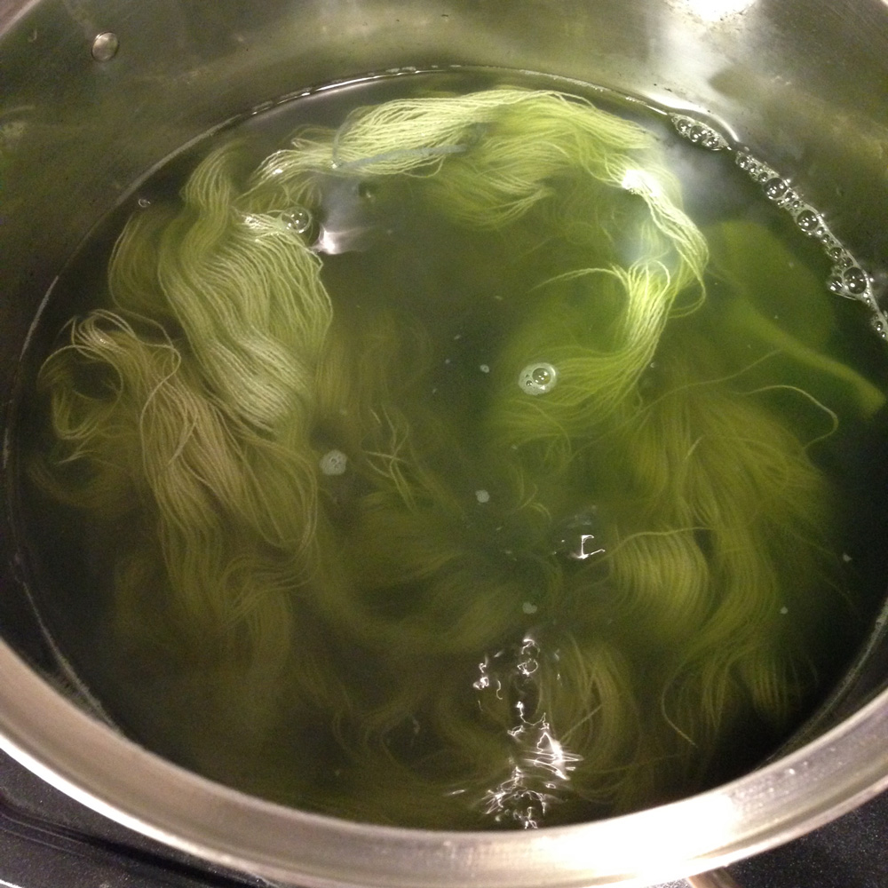 日本茶（緑茶）染め：強アルカリで色素抽出を試す